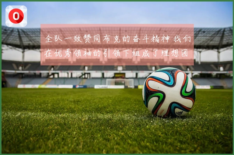 全队一致赞同布克的奋斗精神 我们在优秀领袖的引领下组成了理想团队