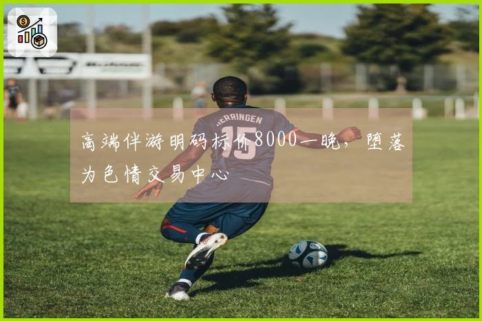 高端伴游明码标价8000一晚，堕落为色情交易中心