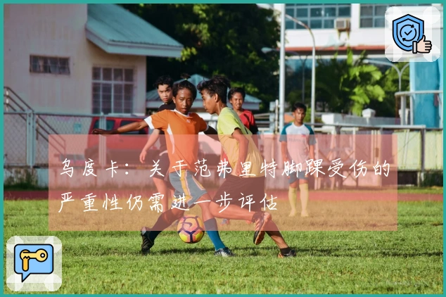 乌度卡：关于范弗里特脚踝受伤的严重性仍需进一步评估